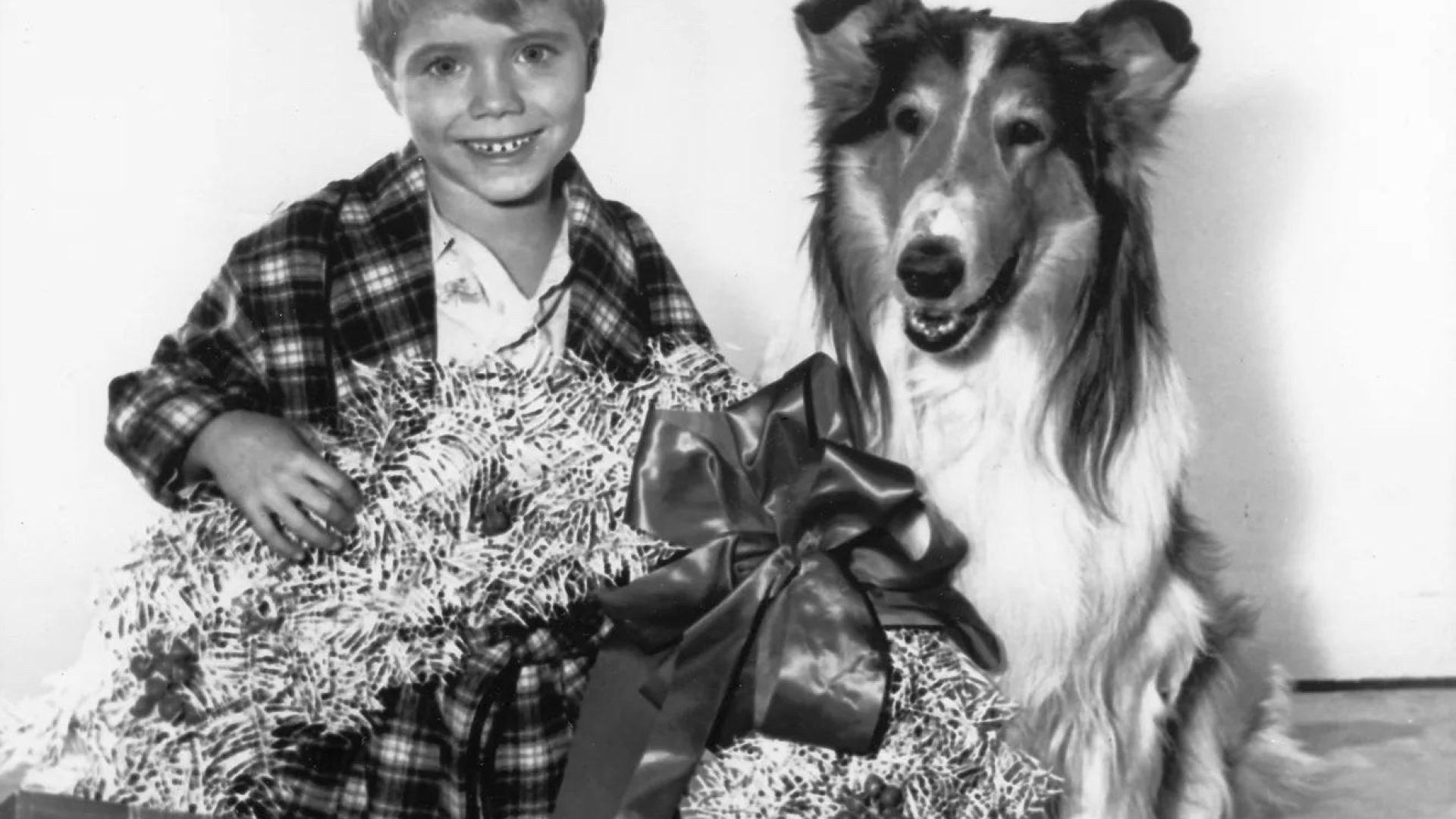 ⁣Lassie - A Christmas Story